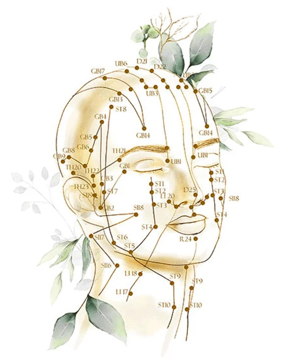 Watercolour image of meridians and acupuncture points.